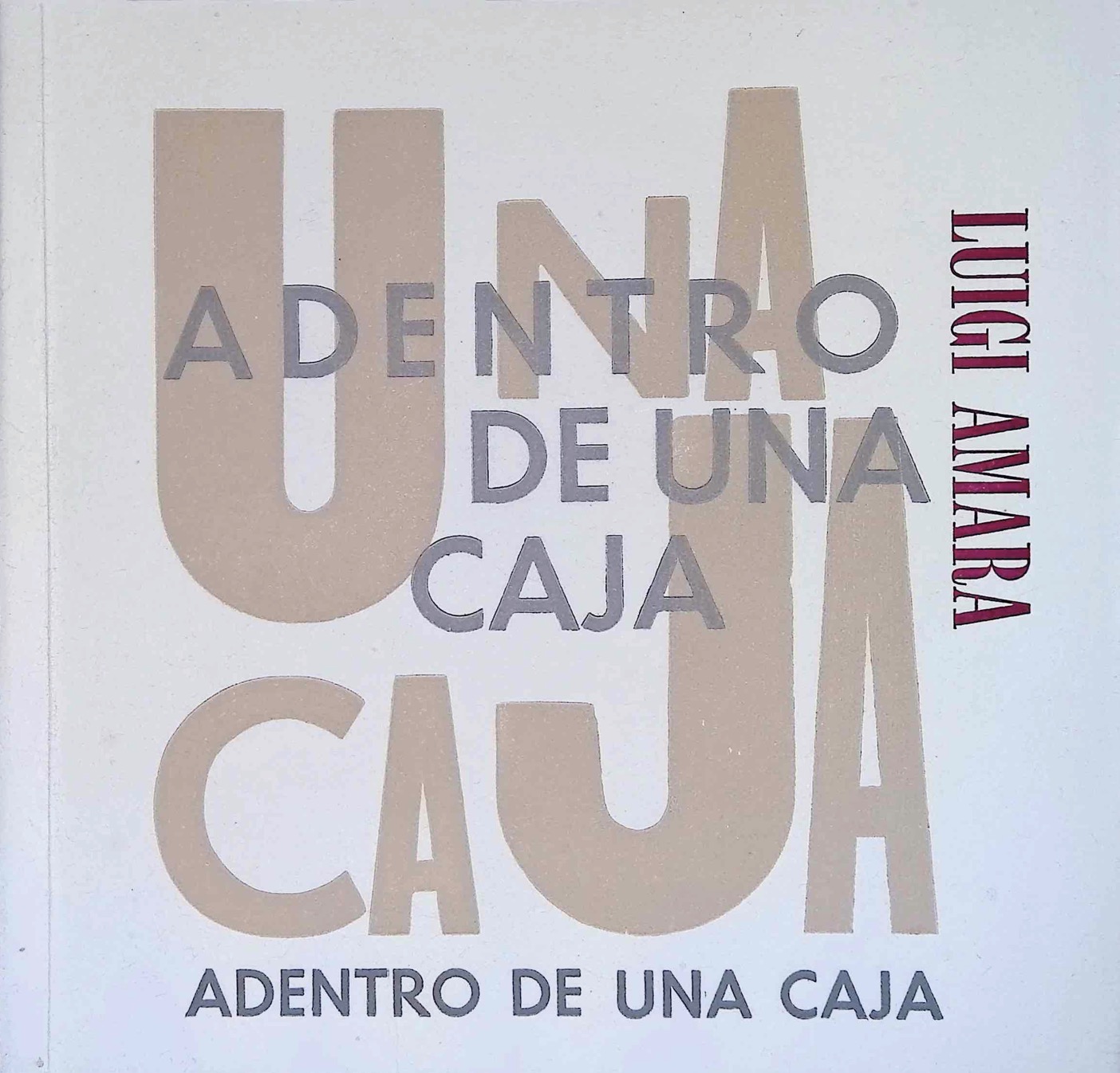 Portada de Una caja adentro de una caja adentro de una caja